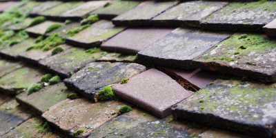 Mounton roof repair costs